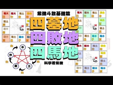 四庫地|八字命理:四墓庫詳論、精論